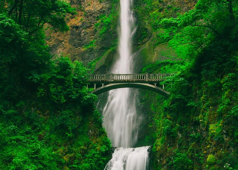 Tall waterfall and bridge in green forest